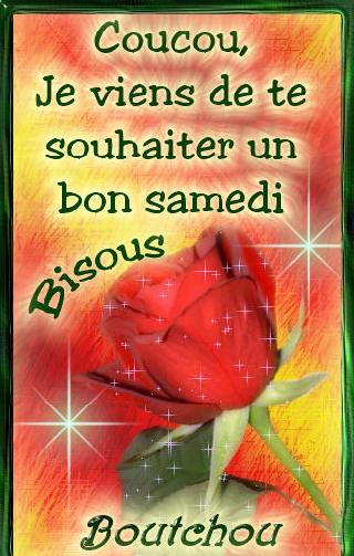 la belle fleur